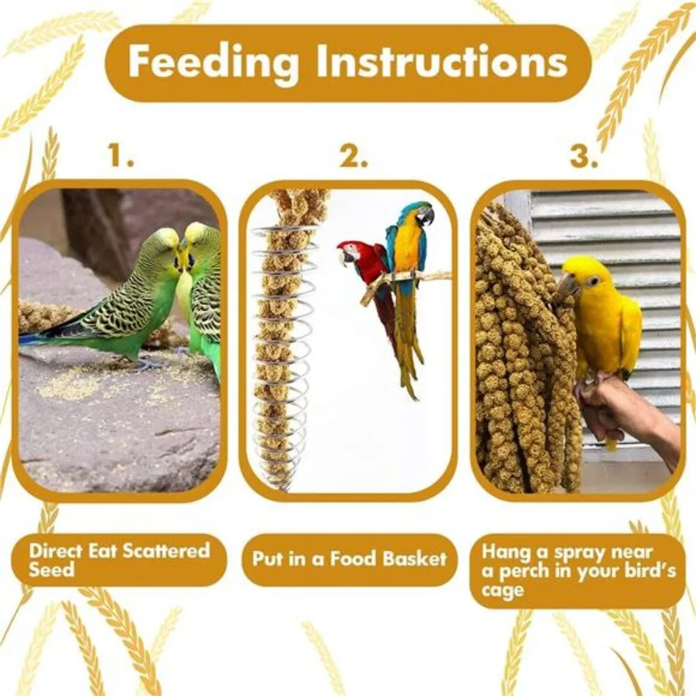 1LB Spray Millet Treat for Birds Parakeets, Natural Sun-Dried Birds Millet